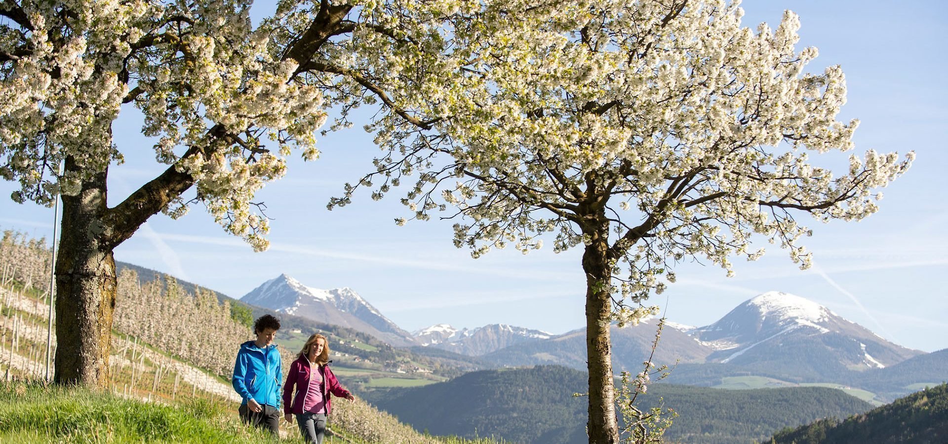 Frühlingsferien in Südtirol